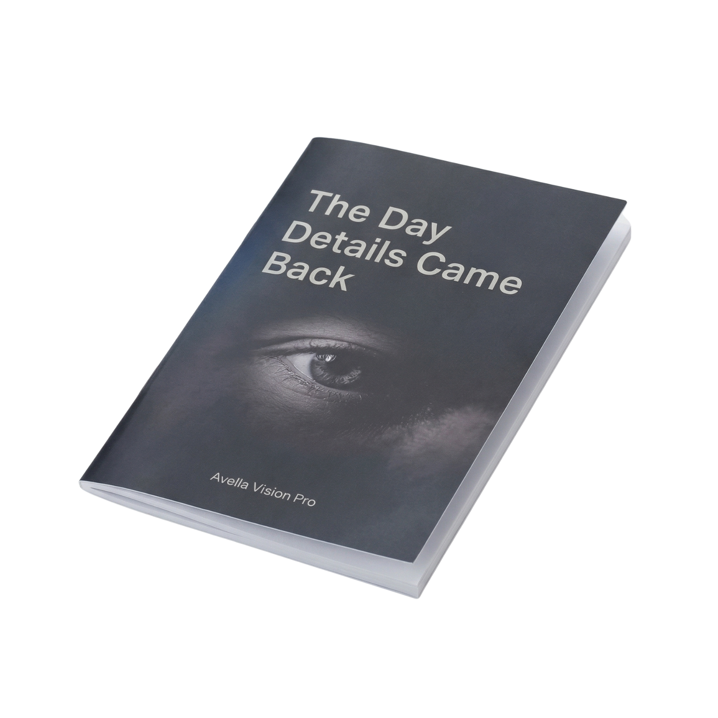 Day Small Details Came Back (eBook)